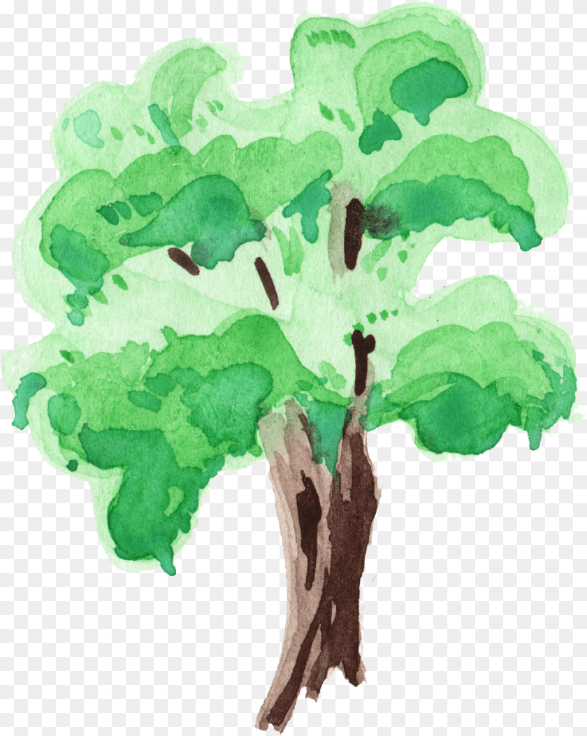 Watercolor Tree Water Paint Tree, Green, Plant, Art, Painting Clipart PNG
