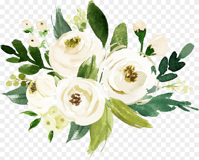 Watercolor White Flower Clipart PNG
