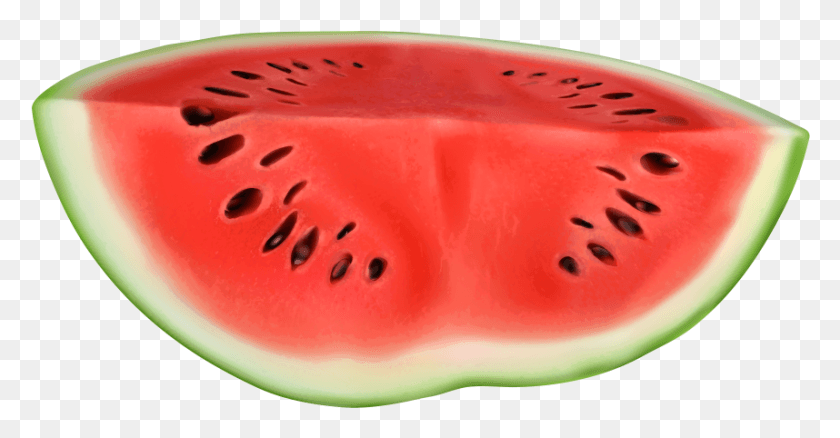 858x416 Watermelon, Plant, Fruit, Food HD PNG Download