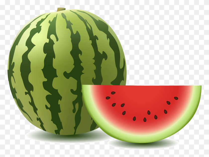 3551x2599 Watermelon Image Watermelon Vector Free, Plant, Fruit, Food HD PNG Download