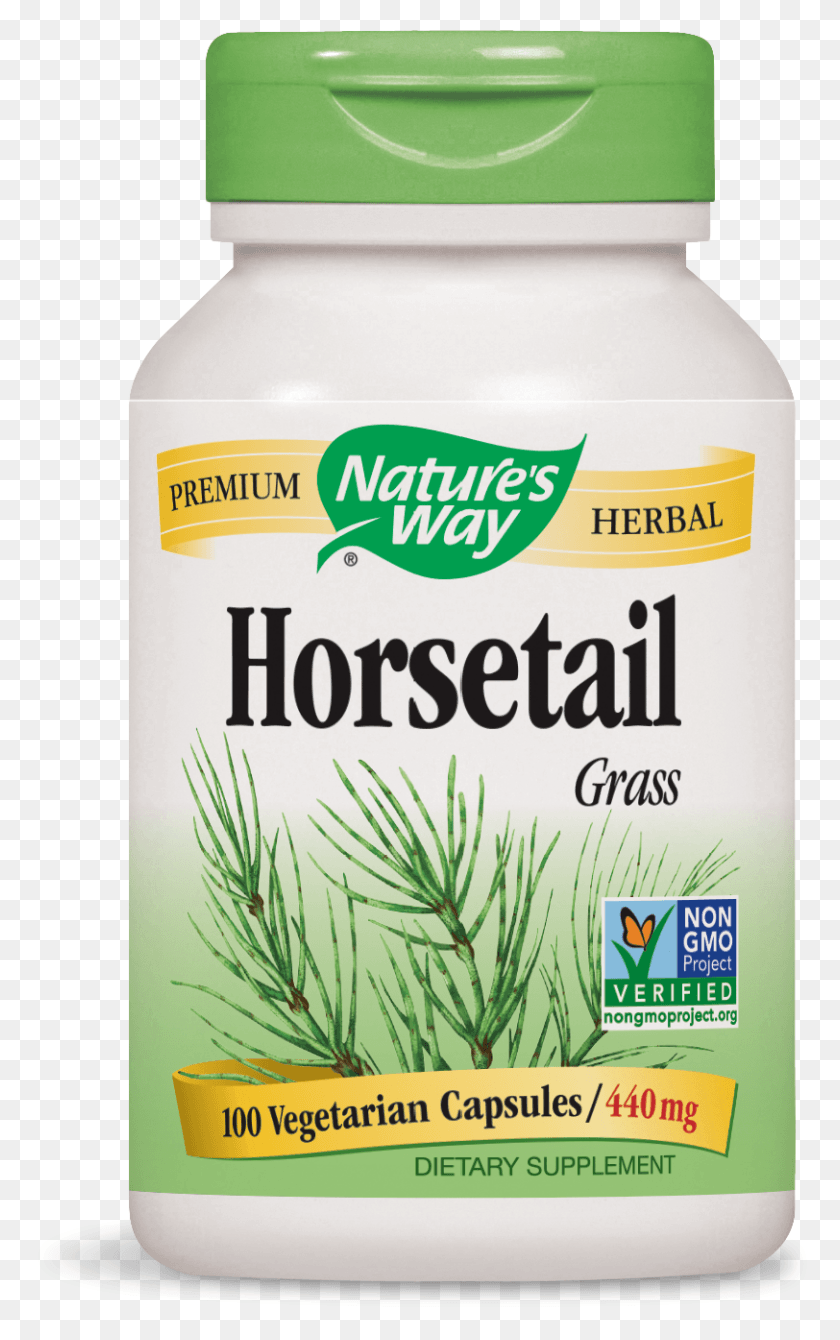 812x1333 Way Horsetail Grass Non Gmo Project Amp Tru Natures Way Horsetail, Plant, Food, Seasoning HD PNG Download