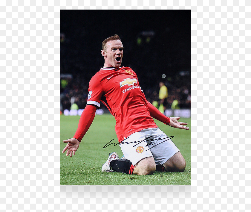 441x648 Wayne Rooney Manchester United Celebration, Person, Human, People HD PNG Download