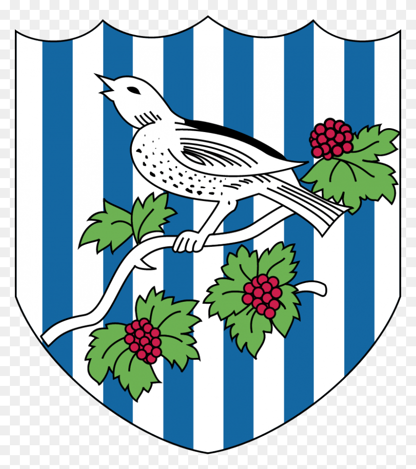 800x911 Wba Vector West Bromwich Albion F.c., Bird, Animal, Graphics HD PNG Download