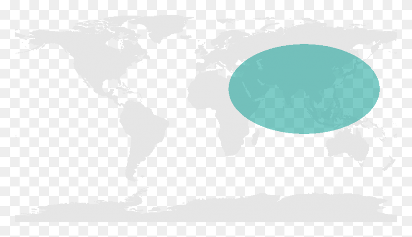 913x496 Descargar Png / Mapa Del Mundo De Asia Png