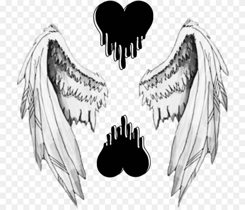 729x719 We All Have Wings To Fly Stickers For Picsart, Angel, Animal, Bird PNG