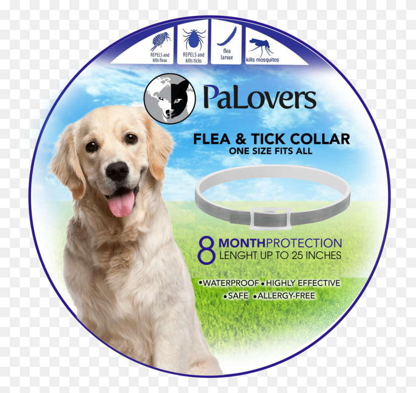 1133x1065 We Also Love Animals And Would Like To Offer You Our Golden Retriever Dog, Pet, Canine, Animal HD PNG Download