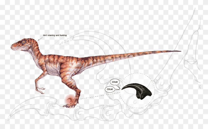 1037x612 We Also Plan To Apply Bionical Simulations To Our Design Lost World Jurassic Park Velociraptor, Dinosaur, Reptile, Animal HD PNG Download