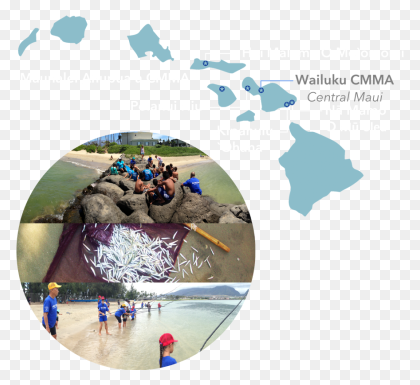 879x801 Мы Группа Местных Жителей И Семей На Центральном Рисунке Гавайских Островов, Человек, Человек, Приключения Hd Png Скачать