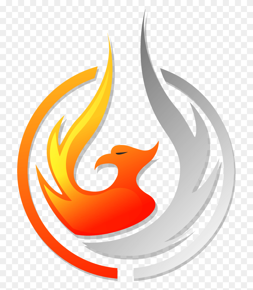 727x906 We Are The Team That Is Home To The Most High End Collections Team Instinct Swgoh, Fire, Flame, Symbol HD PNG Download