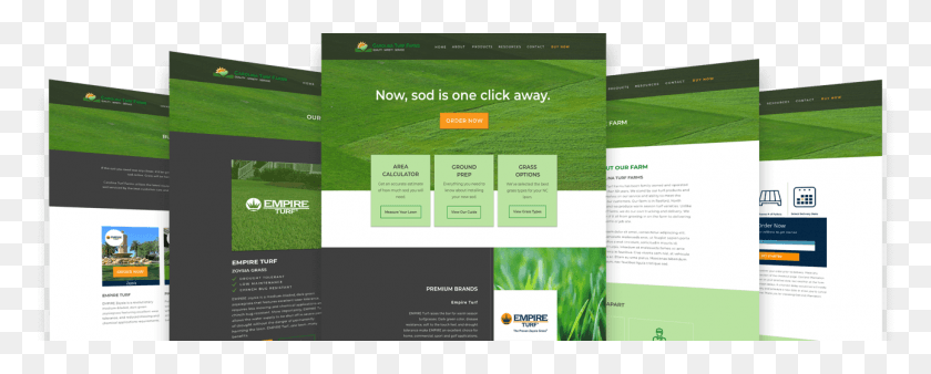1291x461 We Can Even Assist In The Development Of A Digital Lawn, Poster, Advertisement, Flyer HD PNG Download