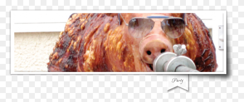 934x349 We Cover Rotisserie, Sunglasses, Accessories, Accessory HD PNG Download