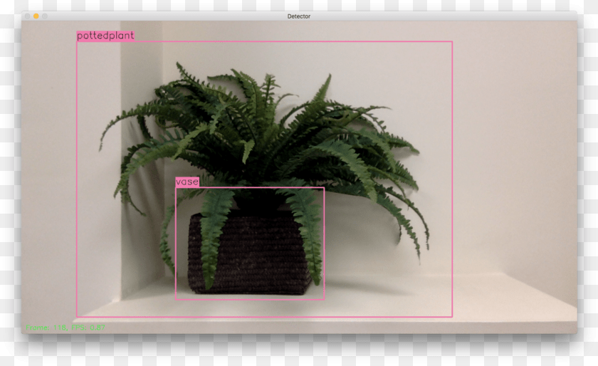 We Needed A Completely Local Solution Running On A Flowerpot, Plant, Potted Plant, Fern, Jar Sticker PNG