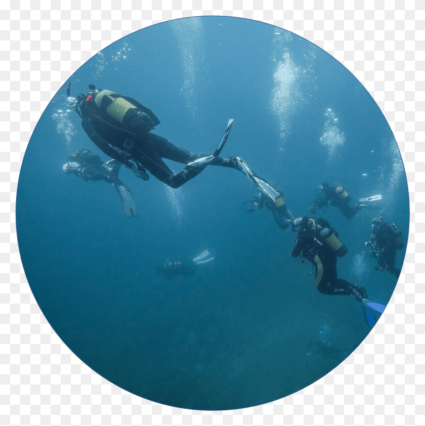 1211x1215 We Pride Ourselves On Only Taking Memories Of The Reef Underwater, Water, Outdoors, Person HD PNG Download