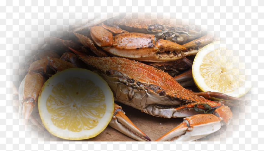 1379x749 We Sell Live And Cooked Crabs Steam Crabs, Seafood, Food, Crab HD PNG Download