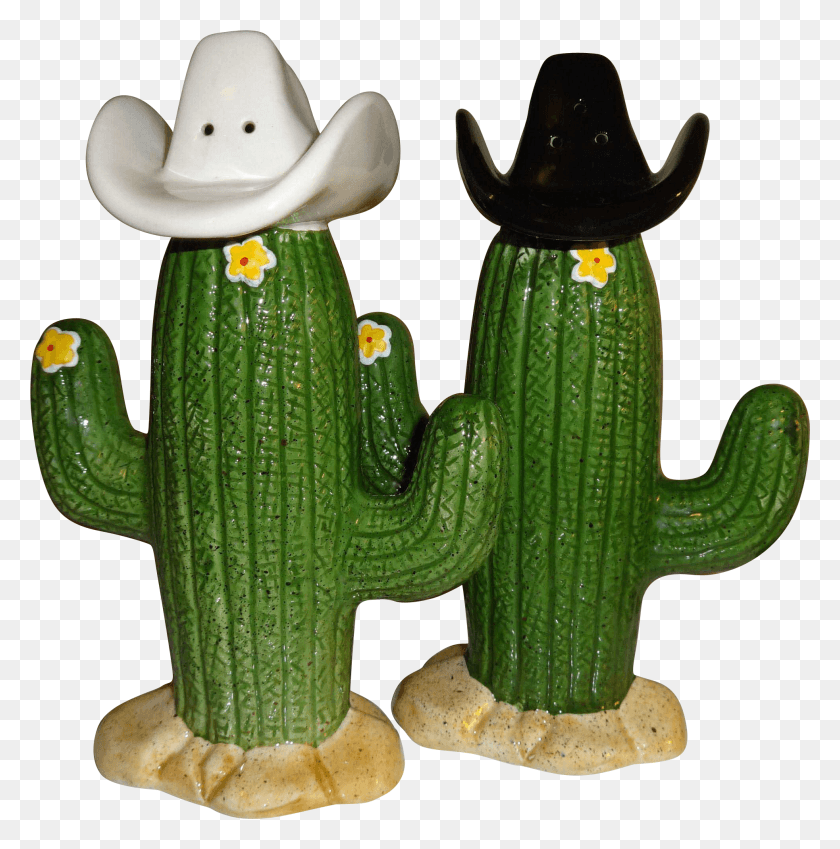 1965x1990 Wearing Hats Salt Cactus Cowboy HD PNG Download