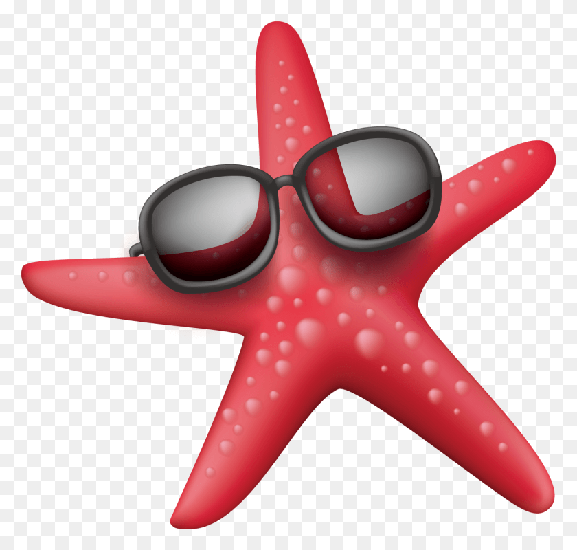 1381x1311 В Солнцезащитных Очках Морская Морская Звезда Png Скачать