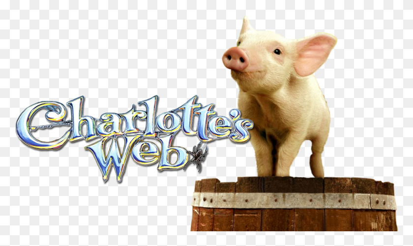 991x562 Web Image Charlotte39s Web Transparent Background, Pig, Mammal, Animal HD PNG Download
