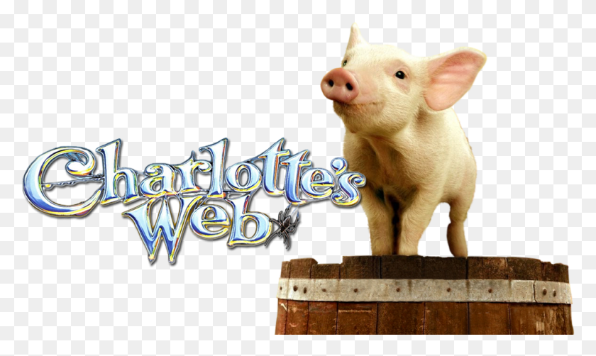 991x562 Descargar Png Web Image Charlotte39S Web Fondo Transparente, Cerdo, Mamífero, Animal Hd Png