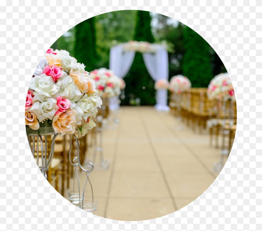 683x683 Wedding Arch, Indoors, Plant, Flower HD PNG Download