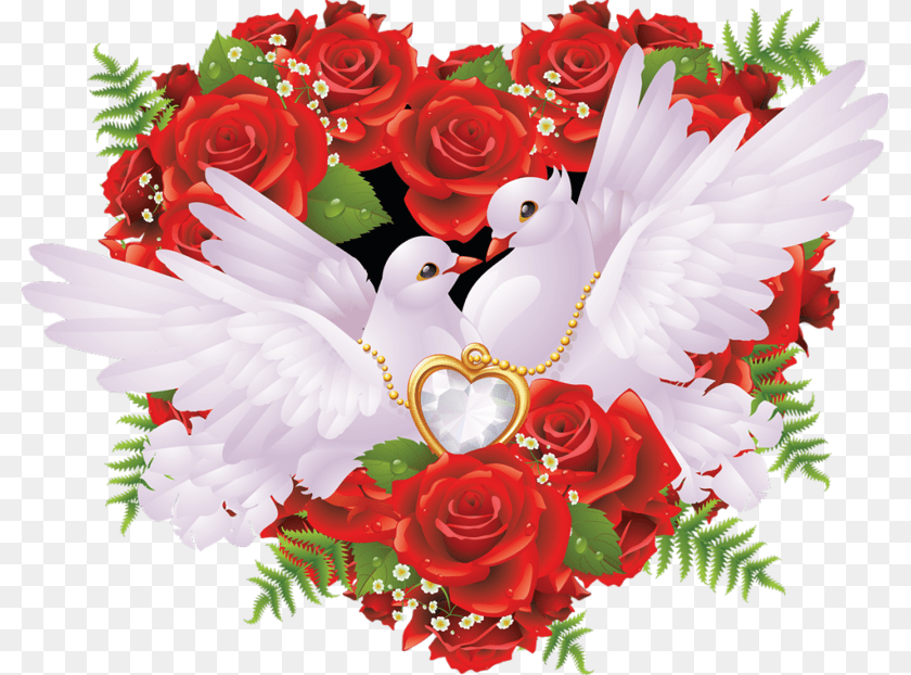 800x622 Wedding Doves Love Birds With Rose, Plant, Flower, Pattern, Flower Bouquet Sticker PNG