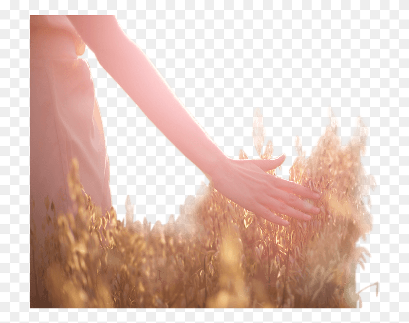 720x603 Wedding Hand, Person, Human, Holding Hands HD PNG Download