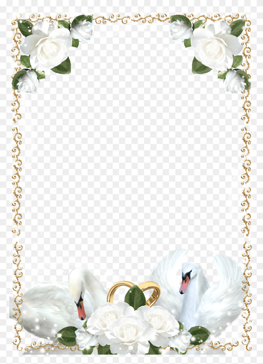 1885x2666 Wedding Roses And Swans Picture Frame White Wedding Frame, Text, Plant, Accessories HD PNG Download