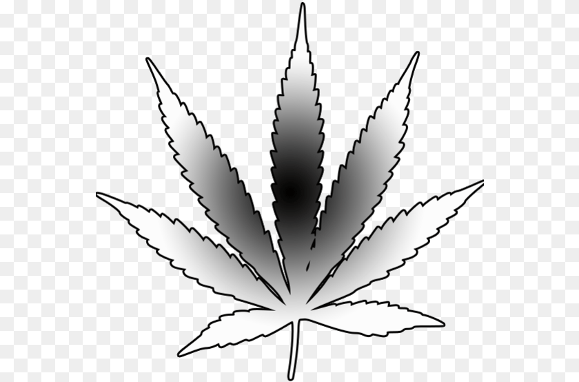 Weed Clipart Leaf Outline Pot Leaf Tattoo Stencil, Plant, Herbal, Herbs, Animal Sticker PNG