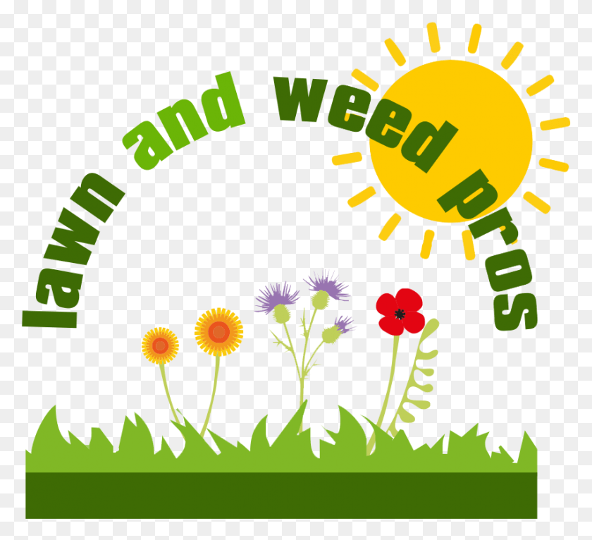 854x774 Weed Clipart Moss Sunny Pictogram, Graphics, Green HD PNG Download