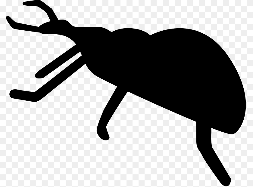 800x622 Weevil Clipart, Gray Sticker PNG