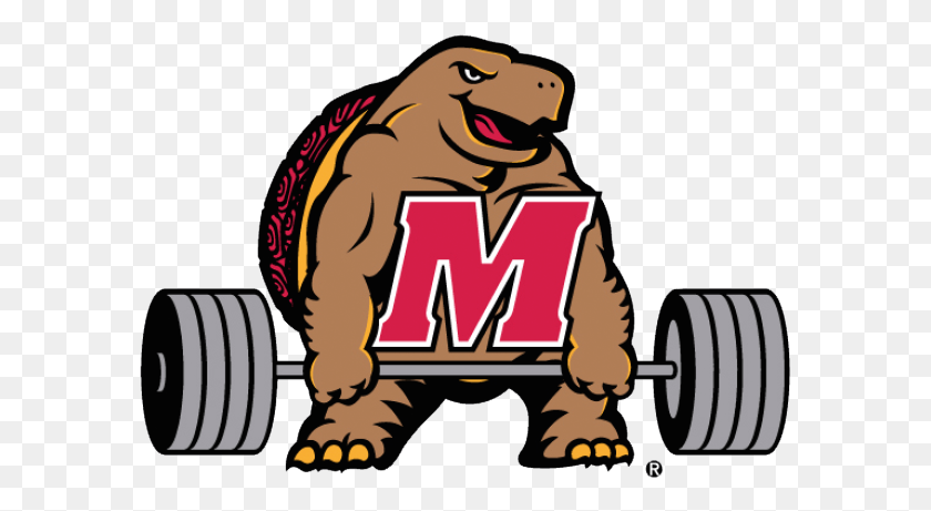 589x401 Weightlifting Clipart Power Lifting Maryland Terp, Mammal, Animal, Wildlife HD PNG Download
