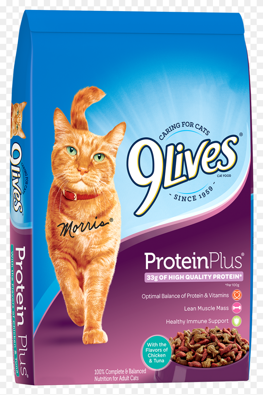 810x1249 Weird Things Happy Pets Do 9 Lives Daily Essentials Cat Food, Pet, Mammal, Animal HD PNG Download