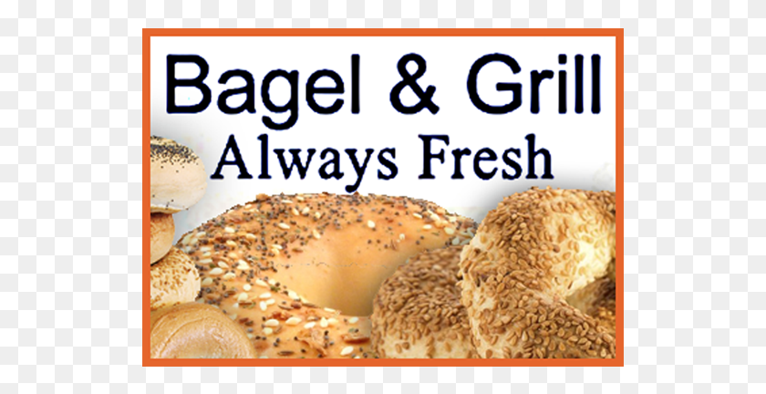 529x372 Welcome To Amplt Broadway Market, Bread, Food, Bagel HD PNG Download