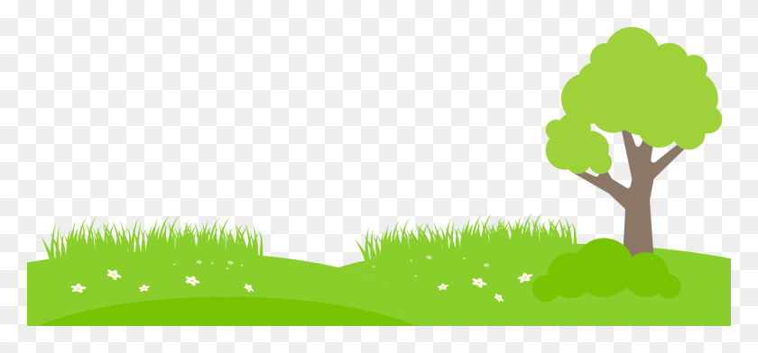 1600x682 Welcome To Blackwater Open Farm Grass, Green, Plant, Outdoors HD PNG Download