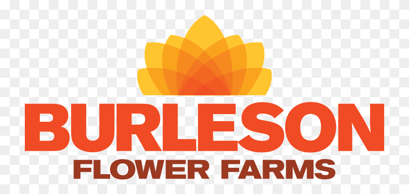 739x340 Добро Пожаловать В Burleson Flower Farms Мы - Высококачественный Графический Дизайн, Текст, Огонь, Свет Hd Png Скачать