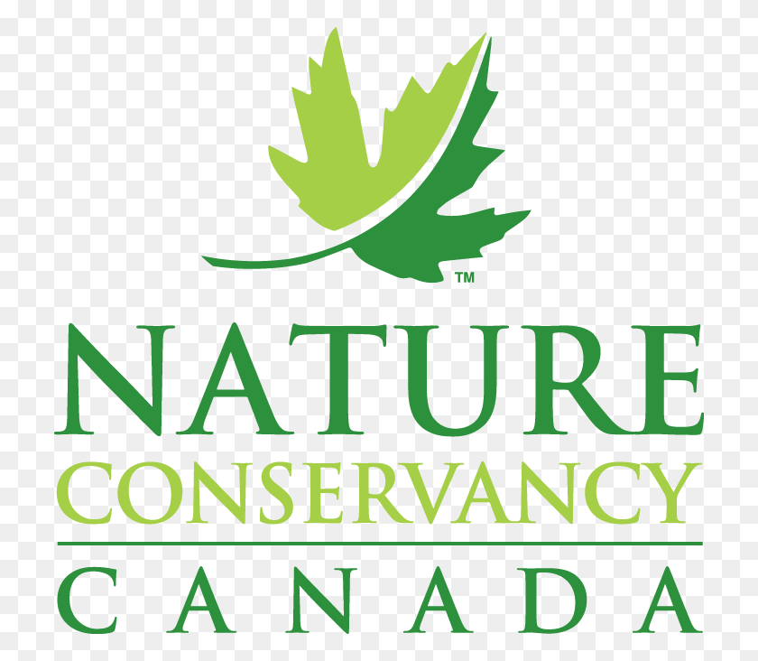 720x672 Welcome To Gifts Of Canadian Nature Placeholder Shop Barbados, Leaf, Plant, Text HD PNG Download