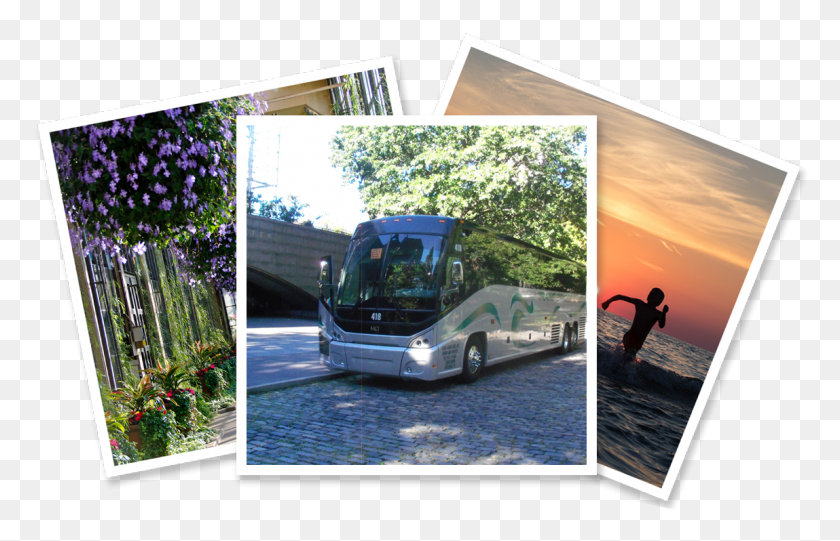 1149x710 Bienvenido A Grape Hyacinth, Autobús, Vehículo, Transporte Hd Png