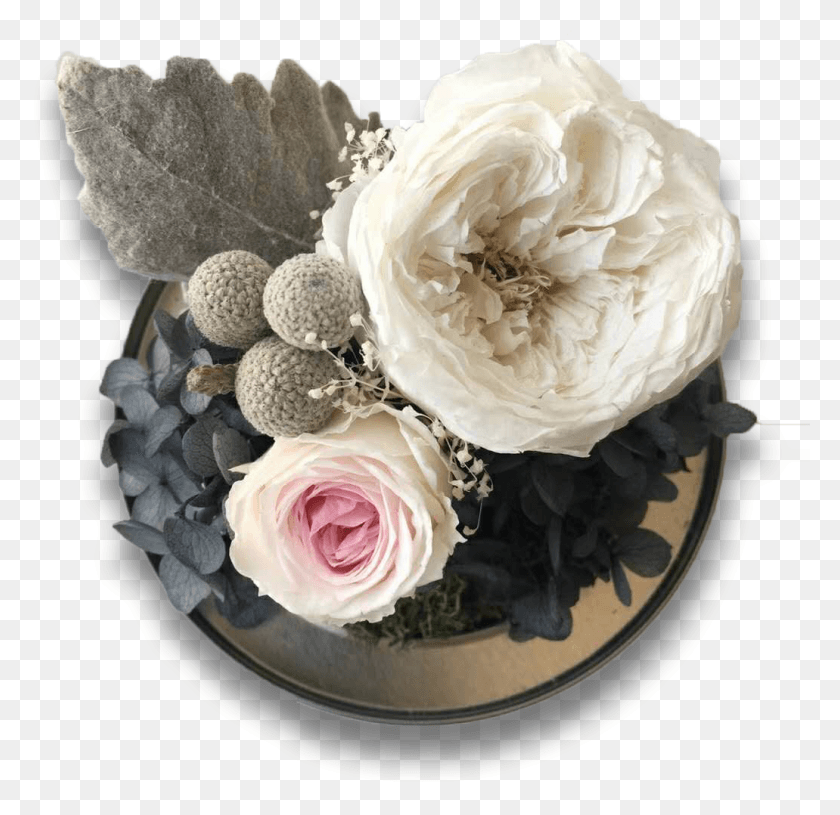 1031x999 Welcome To Kruse Preserved Flowers Garden Roses, Plant, Flower, Blossom HD PNG Download