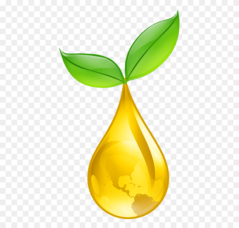431x740 Welcome To Redesigned Oil Drop Logo, Plant, Leaf, Droplet HD PNG Download