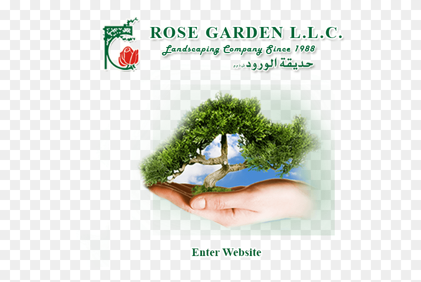 538x504 Welcome To Rose Garden L Templates Html, Potted Plant, Plant, Vase HD PNG Download