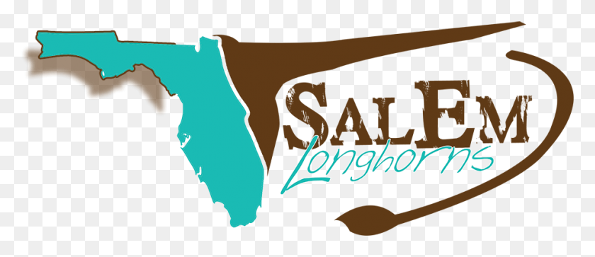 952x371 Welcome To Salem Texas Longhorns Located In Ocala Graphic Design, Outdoors, Nature, Land HD PNG Download