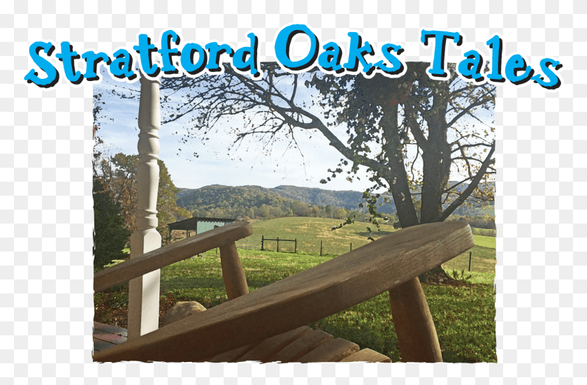1315x828 Welcome To Stratford Oaks Farm In The Blue Ridge Mountains Guard Rail, Outdoors, Nature, Railing HD PNG Download