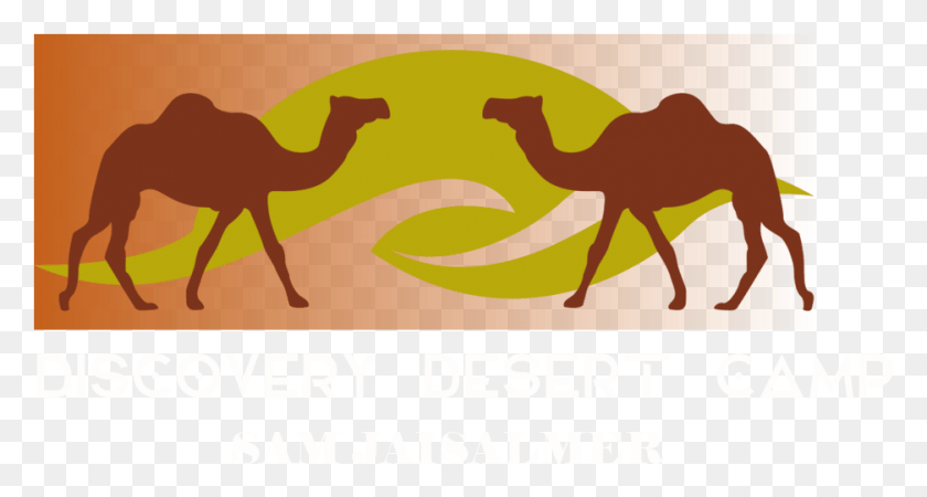 937x469 Добро Пожаловать В Лагеря Пустыни Дискавери Сэм Джайсалмер Imagenes De Siluetas De Camello, Верблюд, Млекопитающее, Животное Png Скачать