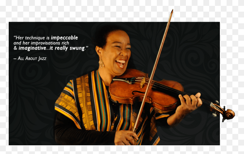 792x477 Welcome To The Website Of Diane Monroe An Improvising Violin, Person, Human, Leisure Activities HD PNG Download