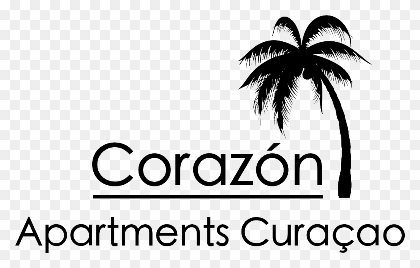 1027x627 Welkom Bij Corazn Apartments Attalea Speciosa, Nature, Outdoors, Night HD PNG Download