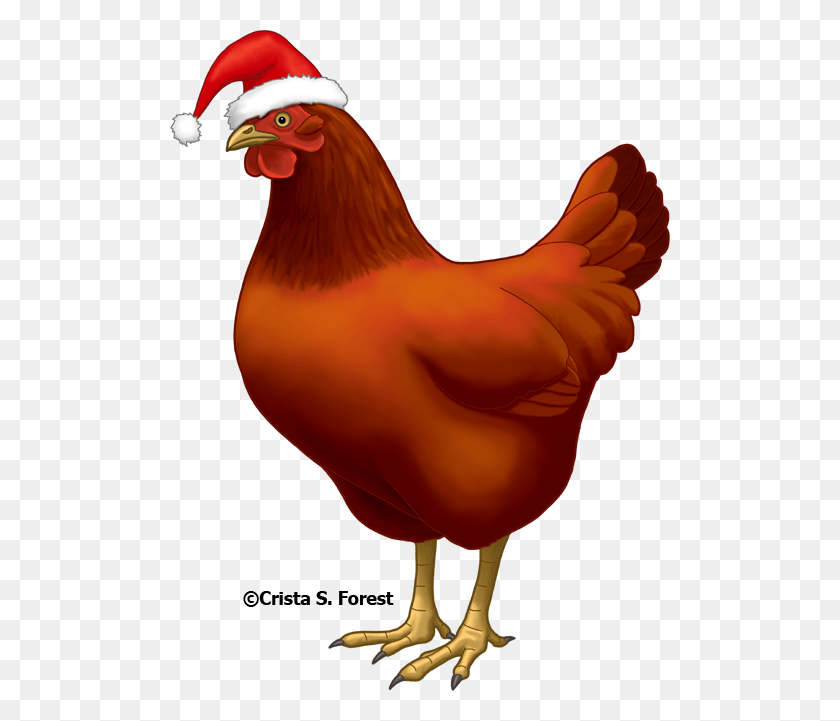 500x661 Well Looks Are Deceiving Chicken With Santa Hat, Hen, Poultry, Fowl HD PNG Download