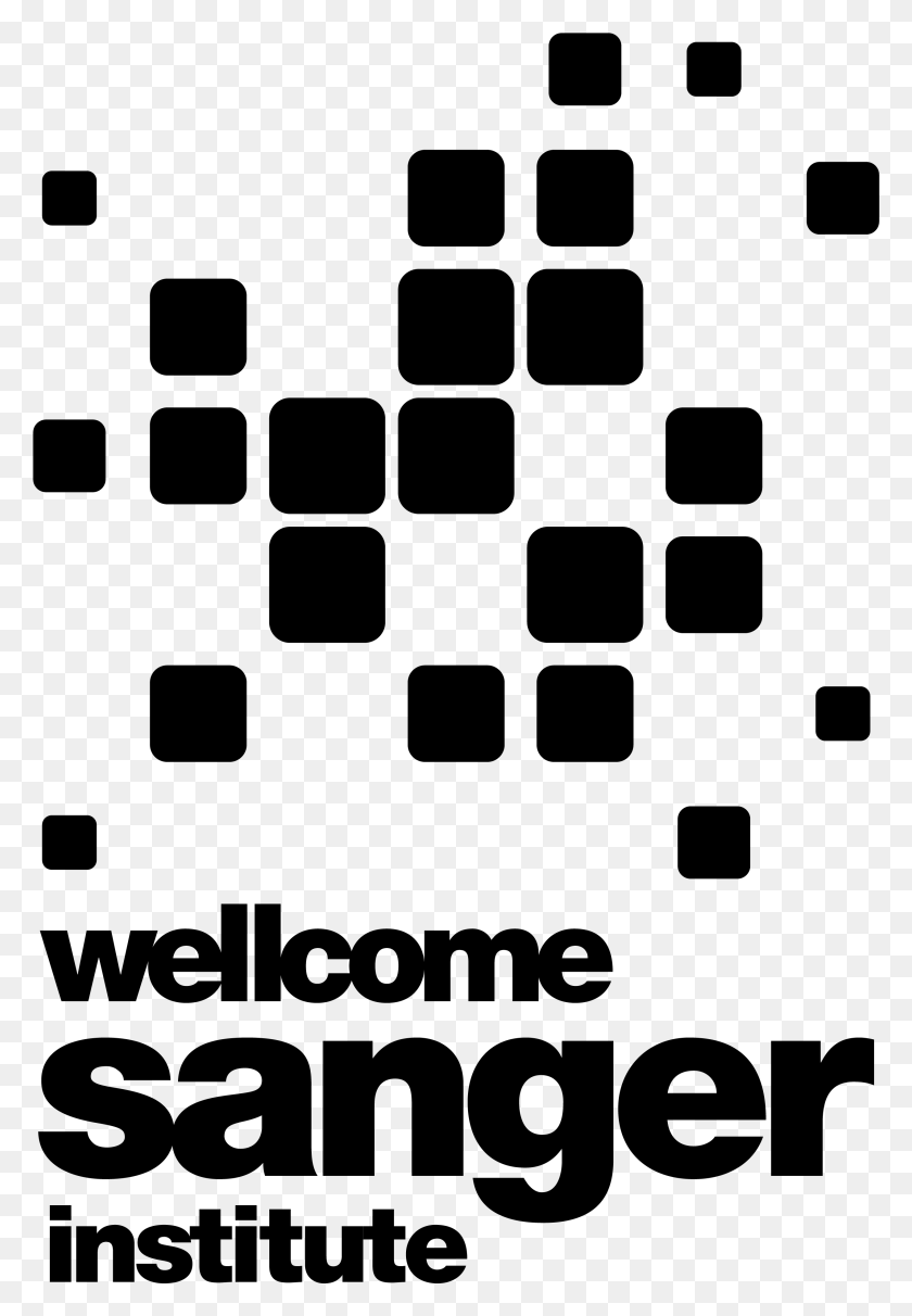 2544x3759 Wellcome Sanger Institute Branding Guidelines And Logos Poster, Gray, World Of Warcraft HD PNG Download