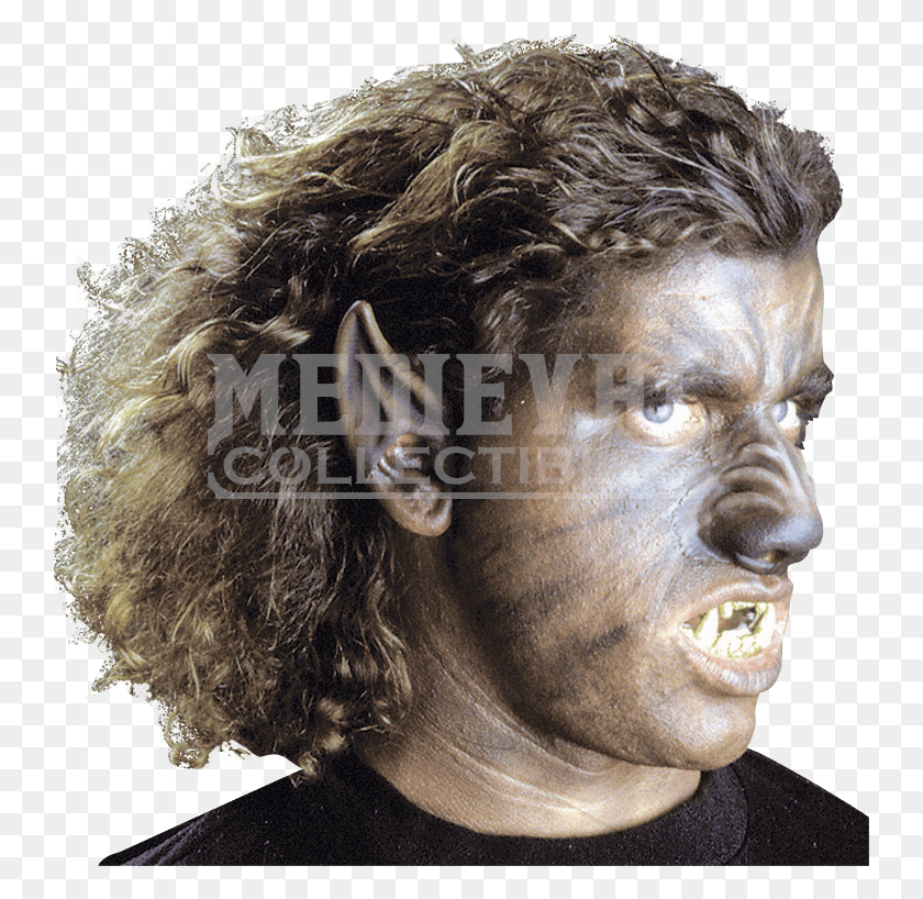 743x758 Werewolf, Head, Face, Person HD PNG Download