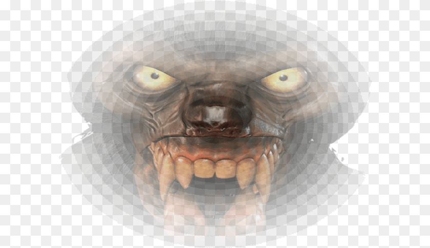 613x484 Werewolf Skull, Adult, Male, Man, Person PNG