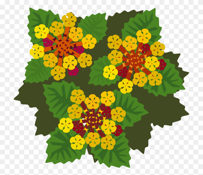 731x665 West Indian Lantana Flowering Plant Plants Petal Lantana Flower Clipart, Floral Design, Pattern, Graphics HD PNG Download