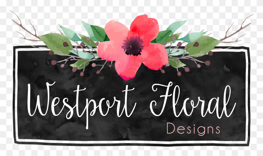 2568x1448 Westport Floral Designs, Plant, Flower, Blossom HD PNG Download